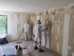 Best Mold Damage Restoration in Ohioville, PA